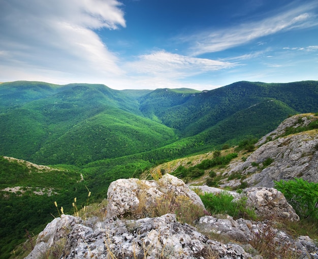 Hermoso paisaje de montaña. Composición de la naturaleza.