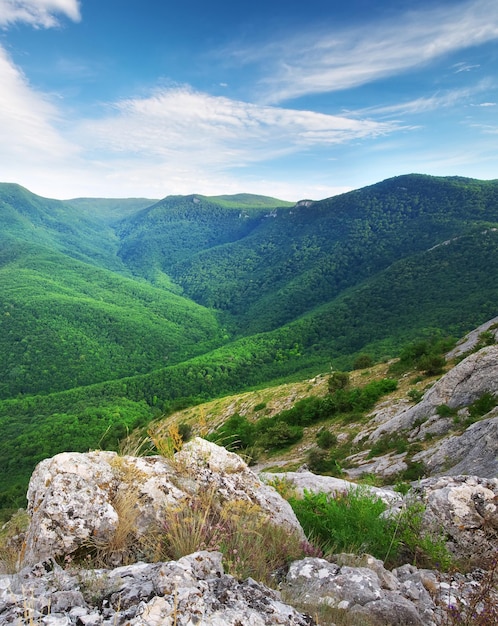 Hermoso paisaje de montaña Composición de la naturaleza