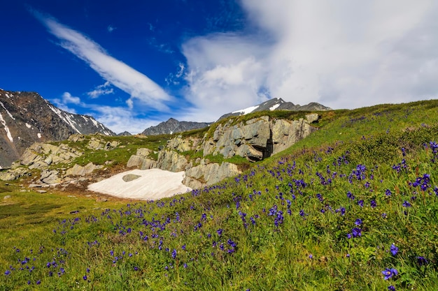 Foto hermoso paisaje de montaña con flores y cielo azul