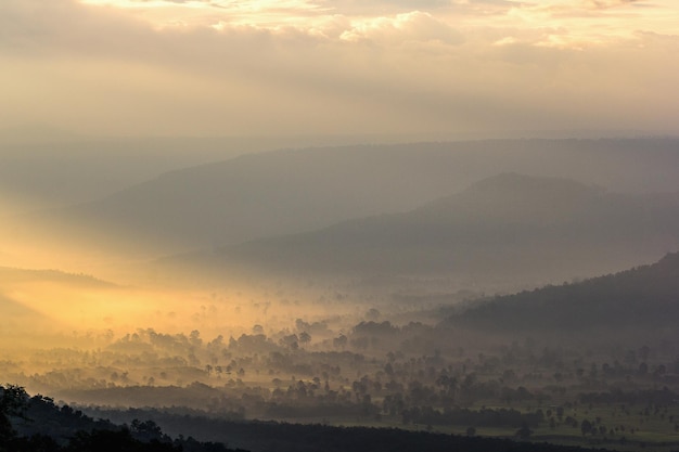 Hermoso paisaje de montaña bajo la niebla de la mañana