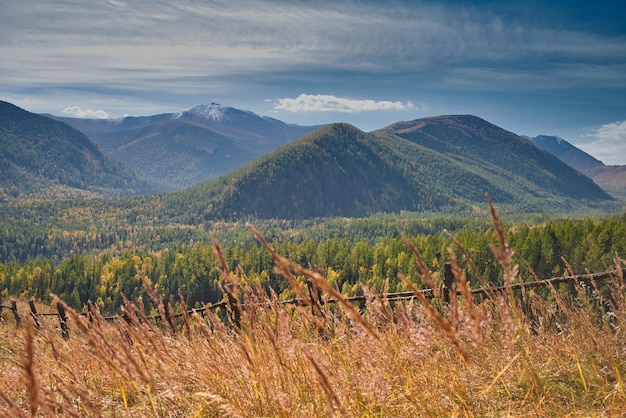 El hermoso paisaje de montaña de otoño con tallos de hierba seca en primer plano montañas de Altai Rusia