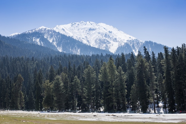 Hermoso paisaje de montaña pequeño pueblo entre nieve pino árboles fondo de montaña