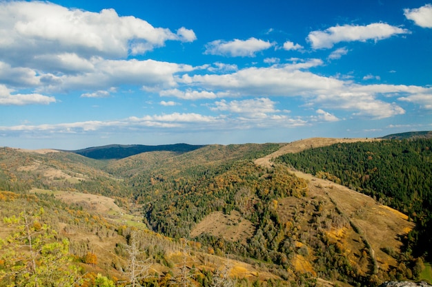 Hermoso paisaje de montaña, con picos cubiertos de bosques y un cielo nublado.