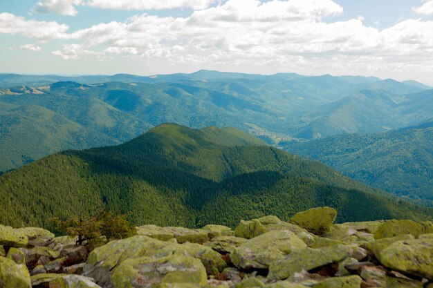 Foto hermoso paisaje de montaña, con picos de montaña cubiertos de bosque y un cielo nublado