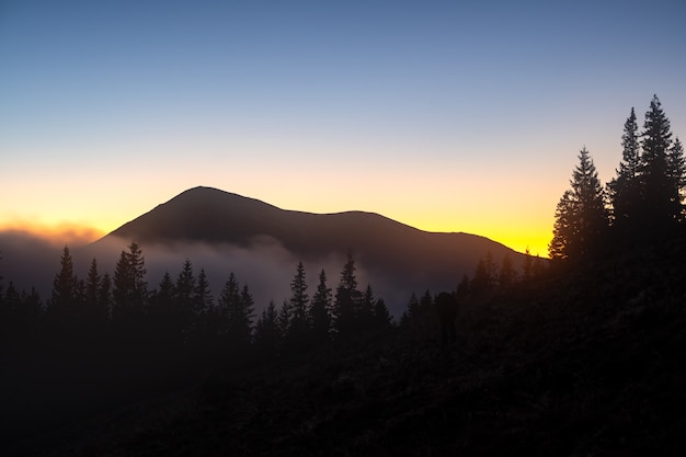 Hermoso paisaje de montaña con picos nebulosos y valle boscoso brumoso al atardecer.