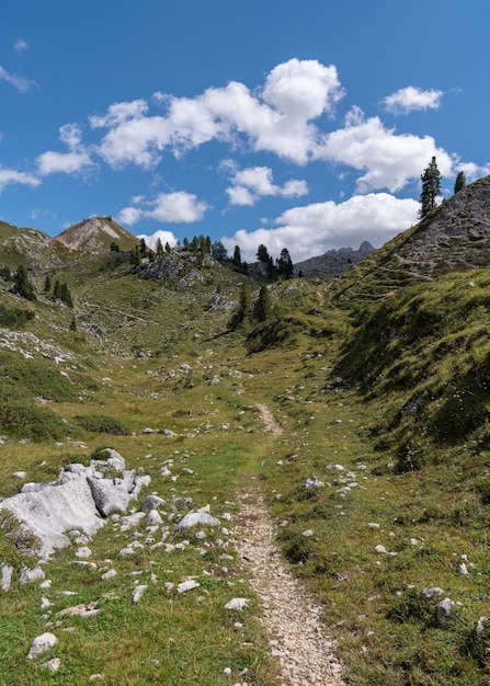 Foto hermoso paisaje de montaña piedras árboles caminos cielo azul dolomitas italia rocas altas