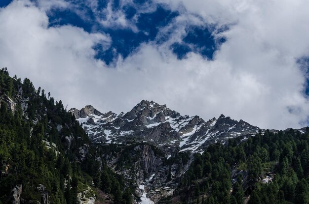 Hermoso paisaje de montaña en verano