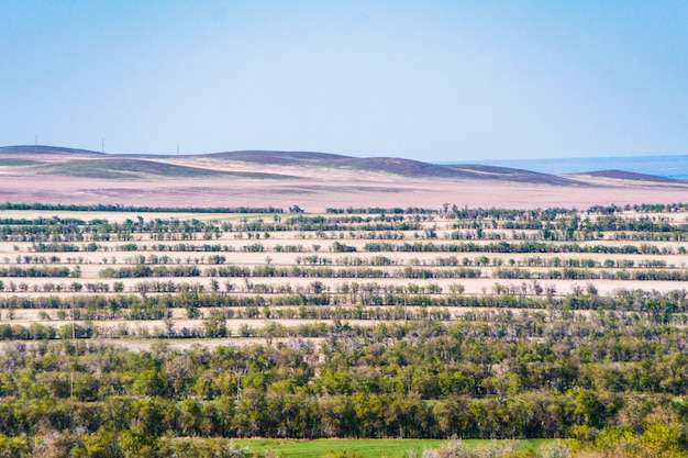 hermoso paisaje con montañas y árboles