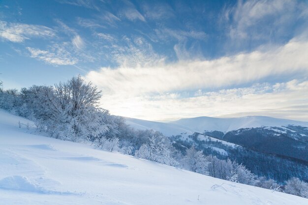 Hermoso paisaje con las montañas de los Cárpatos Picos montañosos nevados desde una altura Un cielo maravilloso cubre las montañas nevadas de invierno Ucrania
