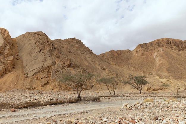 Hermoso paisaje de montañas en el desierto de Arava