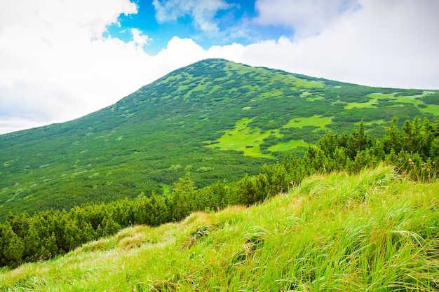 Hermoso paisaje de montañas