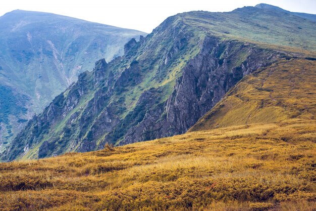 Hermoso paisaje de montañas