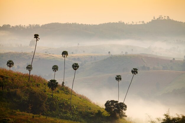 Foto hermoso paisaje montañoso amanecer en khaokho phetchabunthailand