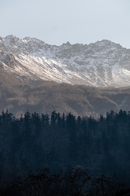 Hermoso paisaje montañoso con rocas de bosques de coníferas y picos nevados en Nepal