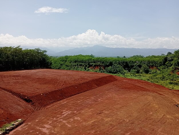 hermoso paisaje natural de hojas verdes sobre un fondo borroso en el jardín