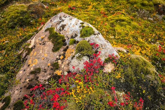 El hermoso paisaje natural de Islandia en otoño