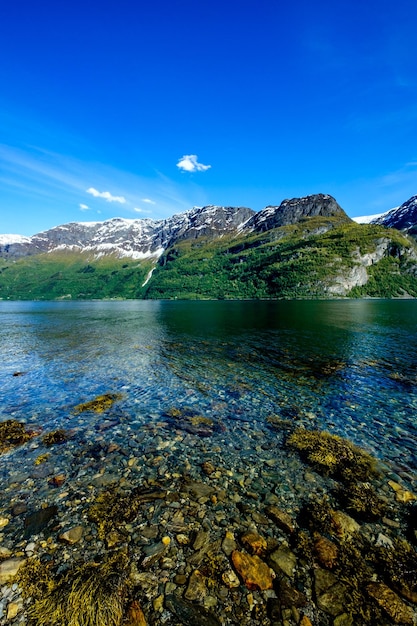 Hermoso paisaje natural de Nature Norway.