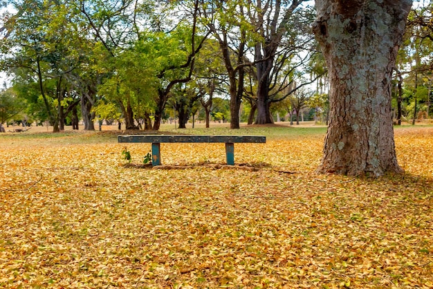 Hermoso paisaje natural con un paisaje idílico de fondo