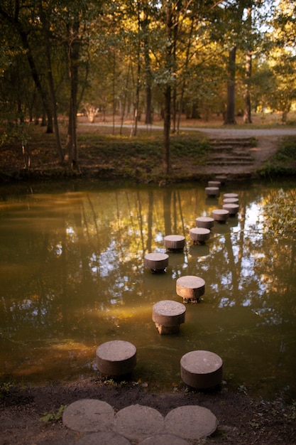 Hermoso paisaje natural con río