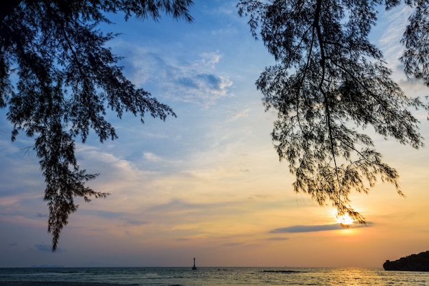 Hermoso paisaje de la naturaleza del colorido sol en el cielo en la playa de la isla de Tarutao durante la puesta de sol sobre el mar de Andaman bajo la sombra de los árboles, el Parque Nacional Tarutao, Satun, Tailandia