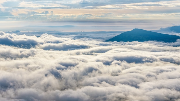 Hermoso paisaje de naturaleza nubes y nieblas como el mar está cubierto de picos en la mañana de invierno durante el amanecer en el mirador del Parque Nacional Phu Ruea, provincia de Loei, Tailandia, pantalla ancha 16: 9