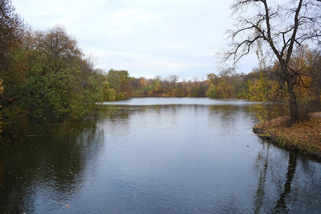 Foto hermoso paisaje de naturaleza de otoño con vistas al paisaje del lago en otoño parque de la ciudad con amarillo dorado