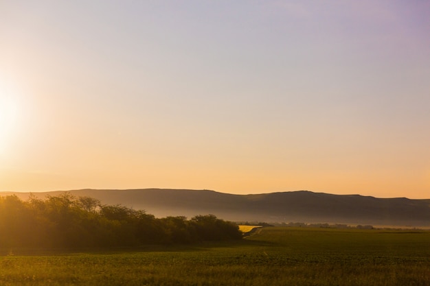 Hermoso paisaje de naturaleza salvaje. Pie de las montañas en un amanecer. Campo de niebla