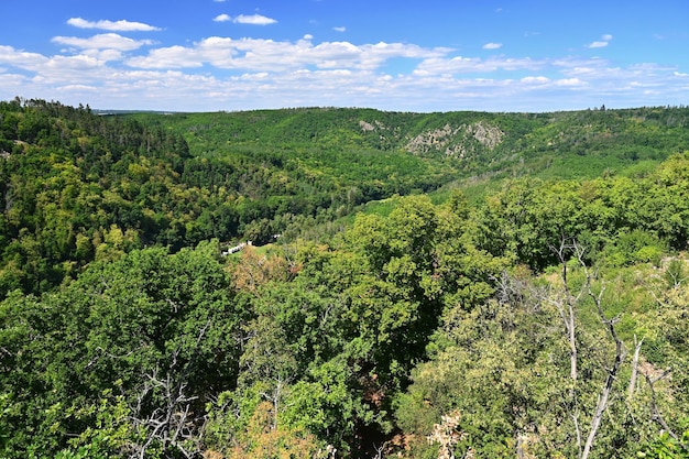 Hermoso paisaje con naturaleza de verano Valle del río Jihlava Moravia del Sur República Checa