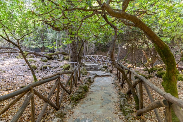 Hermoso paisaje en la naturaleza