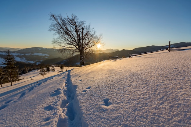 Hermoso paisaje de Navidad de invierno. Sendero de huella humana en nieve profunda blanca cristalina en campo vacío, bosque de abetos, colinas y montañas en el horizonte en el cielo azul claro.
