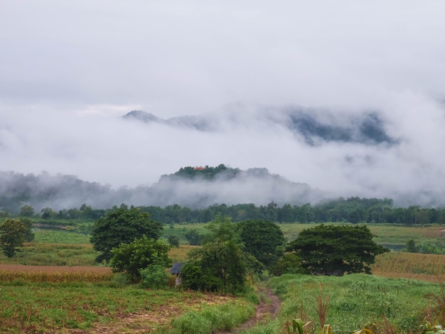 Hermoso paisaje de niebla en las montañas