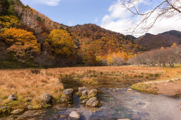 Hermoso paisaje en nikko de Japón en la temporada de otoño