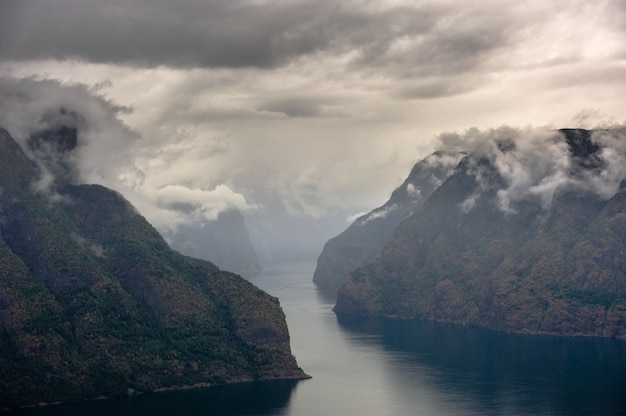 Foto el hermoso paisaje de noruega en verano de 2014