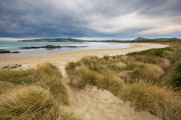 Hermoso paisaje de Ocean Beach, Nueva Zelanda.