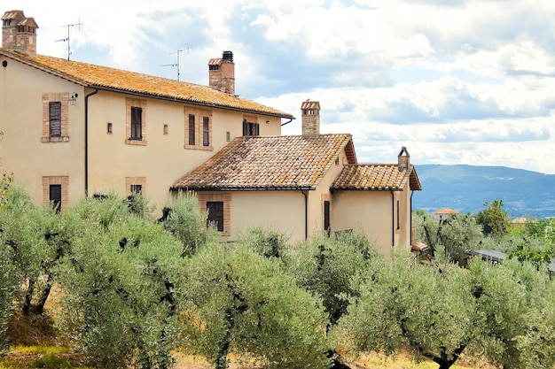 Hermoso paisaje con olivos y casa en campo italiano