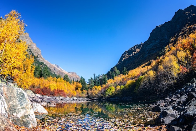 Hermoso paisaje otoñal con agua verde clara de un lago de montaña y árboles con follaje otoñal reflejado en él