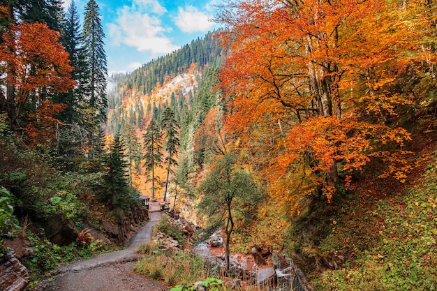 Hermoso paisaje otoñal con un camino forestal. Otoño en las montañas del Cáucaso.