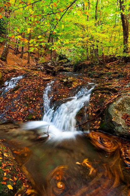 Hermoso paisaje otoñal con una cascada en el bosque otoñal