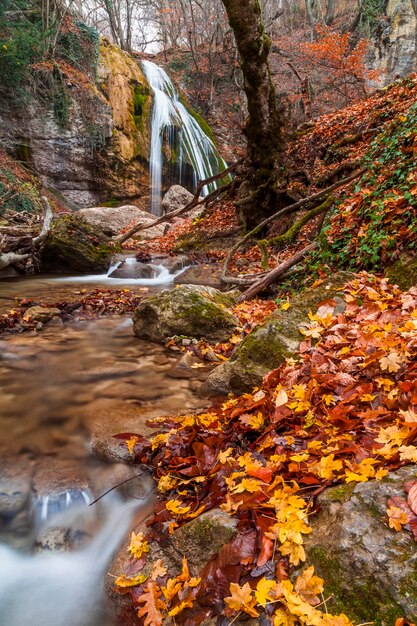 Hermoso paisaje otoñal con una cascada en el bosque otoñal