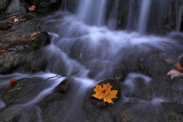 Hermoso paisaje otoñal con una cascada en el bosque otoñal