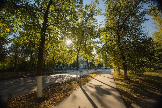 Hermoso paisaje otoñal en la ciudad, otoño, luz del sol, hojas amarillas