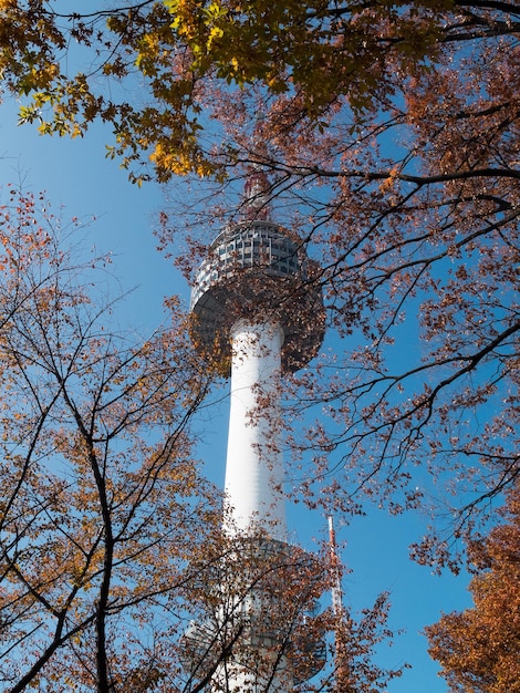 Hermoso paisaje otoñal en Corea del Sur