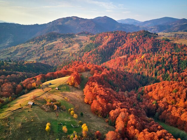 Hermoso paisaje otoñal de montaña con prado y bosque colorido. Árboles rojos, amarillos, naranjos en las laderas. Parque Nacional Natural Synevyr, Cárpatos, Ucrania, Europa.