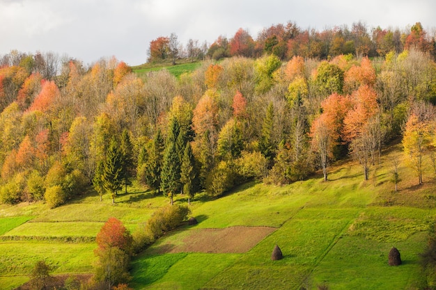 Hermoso paisaje otoñal del país en las montañas de los Cárpatos