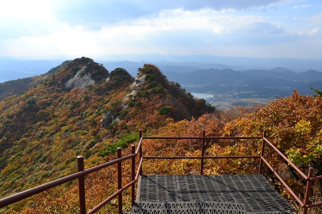 Foto hermoso paisaje otoñal en el parque nacional gyeryongsan, corea del sur