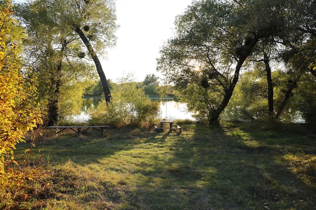 Hermoso paisaje otoñal con puesta de sol entre los árboles verdes y naranjos Lugar pintoresco con lago