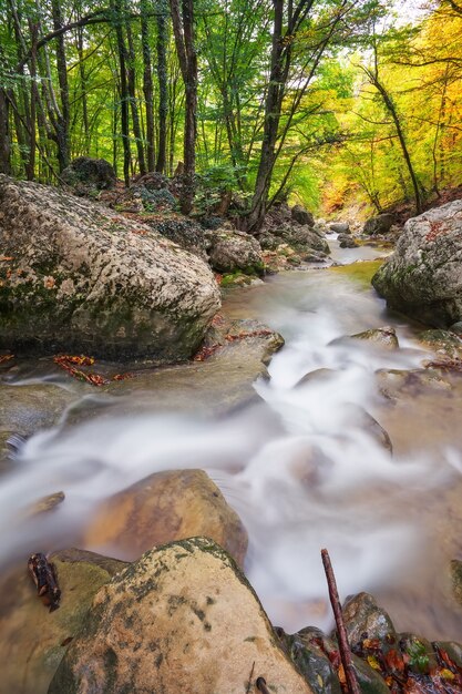 Hermoso paisaje otoñal con río de montaña y árboles coloridos. bosque montañoso