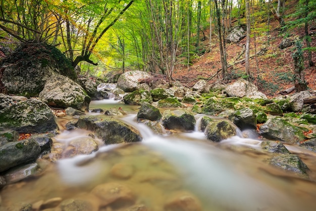 Hermoso paisaje otoñal con río de montaña, piedras y árboles coloridos. Bosque de montaña en Crimea.