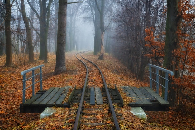 Hermoso paisaje otoñal. Vía férrea y puente en el bosque.