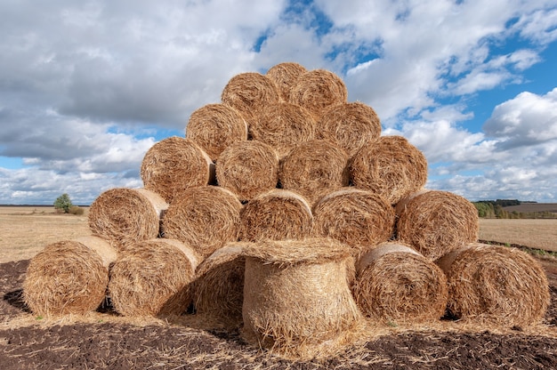 Hermoso paisaje otoñal con vista de rollos de paja en el campo y nubes blancas